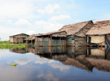 Slika od Amazona bi uskoro mogla pretrpjeti zastrašujuće posljedice: ‘Moramo stati s uništavanjem’