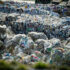 Slika od Što čelni ljudi najvećih gradova u RH kažu o problemima s otpadom