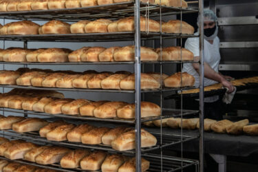 Slika od Uz ovaj trik više nećete bacati stari kruh: Vratite mu svježinu u desetak minuta