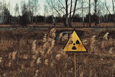 Slika od Biolozi proučavali crve iz Černobila: ‘Ovo otkriće moglo bi pomoći i ljudima’