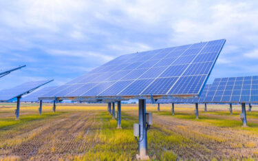 Slika od Čak 50 posto solarnih elektrana gradi se na plodnoj zemlji Vojvodine