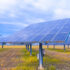 Slika od Čak 50 posto solarnih elektrana gradi se na plodnoj zemlji Vojvodine