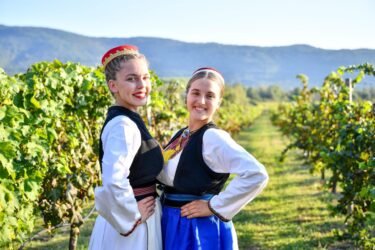 Slika od Hrvatska vina i autohtone delicije zaštićene na EU razini