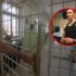 Slika od Hrvatski zatvor je jedan od najstrašnijih na svijetu: Sada ga možete vidjeti u Netflixovoj seriji