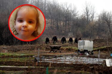 Slika od I dalje nema traga maloj Danki, cijela Srbija ju traži: ‘Svi smo se podigli da pomognemo’