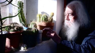 Slika od Ivan je posljednji stanovnik sela u Zagori: ‘Pričam s kaktusima’