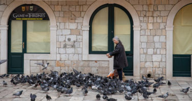 Slika od Jedni ih mrze, drugi obožavaju: Žena u centru Dubrovnika hranila hrpu golubova