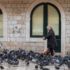 Slika od Jedni ih mrze, drugi obožavaju: Žena u centru Dubrovnika hranila hrpu golubova