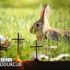 Slika od Kakvi su vaši običaji za Uskrs? ‘Bojanje jaja, odlazak u crkvu’