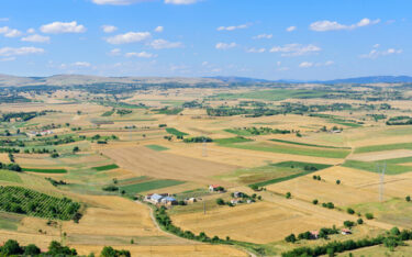 Slika od Konsolidacija je imperativ za makedonsku poljoprivredu
