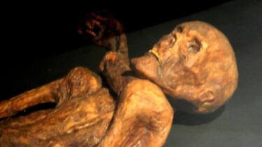Slika od Misterij Ötzijevih tetovaža: Eksperiment na živoj koži