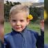 Slika od Potraga za malim Emileom završila tragično: Tijelo dječaka pronađeno u Alpama