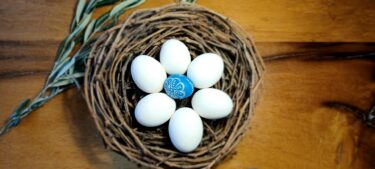 Slika od Savršena bijela jaja za poklonike minimalizma, idealna i za ukrašavanje
