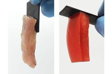Slika od Spajanje mesa s metalom elektroadhezijom