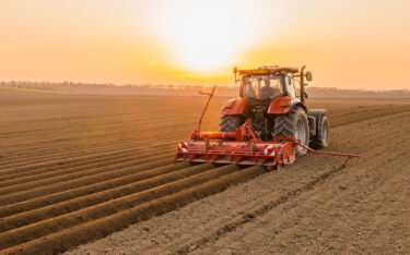 Slika od Srbija ne koristi potencijal za veću proizvodnju certificiranog sjemena