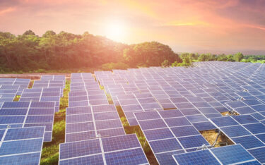 Slika od Traži se koncesionar za solarnu elektranu Nova kod Trebinja