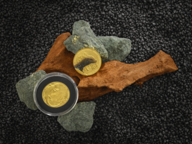 Slika od U prodaju je izašla numizmatička kovanica „Crna gušterica“
