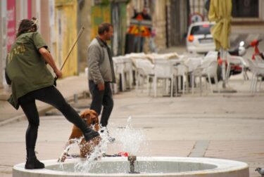 Slika od Ulična sviračica u Puli pronašla zanimljiv način da svom psu pomogne da se napije