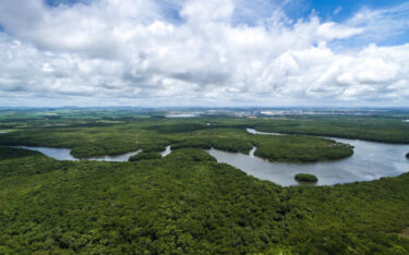 Slika od Biogospodarstvo neće spasiti Amazoniju. Dobronamjerno, ali imat će kontraučinak