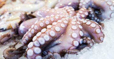 Slika od Chef iz Istre hobotnicom šokirao srpskog tiktokera: “Ne radi ništa, molim te”
