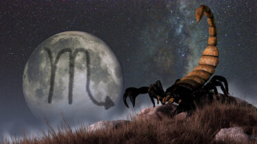 Slika od Dnevni horoskop, Škorpion, 20. i 21. 04. 2024.