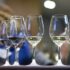 Slika od Dođite danas i sutra na Festival ‘Vinski podrum‘ u Lazaretima, kušajte više od 200 vina najboljih vinara i top-delicije
