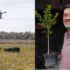 Slika od Domaći projekt pošumljavanja dronovima iz zraka: ‘Ono što mi sadimo su pametne šume’
