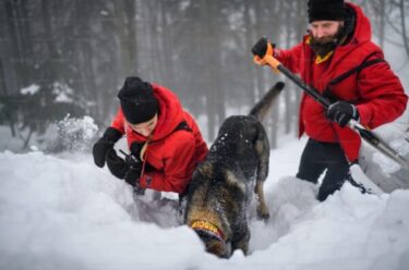 Slika od Lavina zatrpala ljude u Austriji, u tijeku je velika akcija spašavanja!