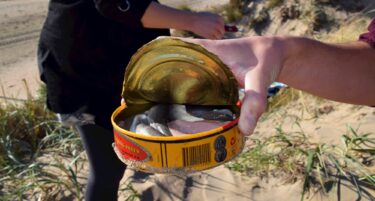 Slika od Ljudi probali surströmming, najsmrdljiviju ribu. Pogledajte njihove reakcije