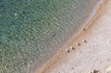 Slika od Na Krku će se obilježiti Dan planeta Zemlje akcijom čišćenja plaže na Plavniku