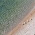 Slika od Na Krku će se obilježiti Dan planeta Zemlje akcijom čišćenja plaže na Plavniku