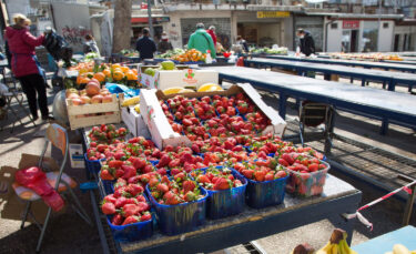 Slika od Na poseban način uzgajaju voće i masno zarađuju: Pola kile jagoda kod njih dođe 80 eura