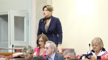 Slika od Oštra, žestoka, strašno je iritirala Jandrokovića: Sabor ostao bez Karoline, tvrdi da je pokradena na izborima