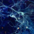 Slika od Otključavanje tajni kako mozak uči: Znanstvenici otkrili misteriozne “zombi neurone”