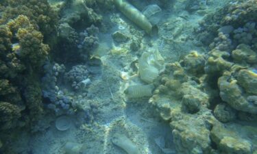 Slika od Otkriveno koliko se plastike nakupilo na dnu svjetskih oceana