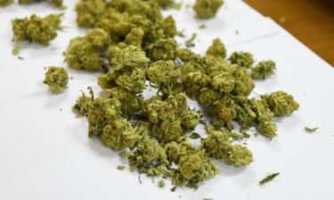 Slika od Pali krijumčari droge, morskim putem iz Crne Gore prebacili najmanje 300 kilograma marihuane