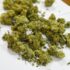 Slika od Pali krijumčari droge, morskim putem iz Crne Gore prebacili najmanje 300 kilograma marihuane