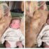 Slika od Pogledajte urnebesnu reakciju bebe koja je prvi put primijetila kućnog ljubimca