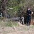 Slika od Policija traži Dankino tijelo na lokalnom groblju. Majka osumnjičenika otkrila što su uzeli iz kuće