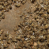 Slika od Pomor pčela u Konavlima