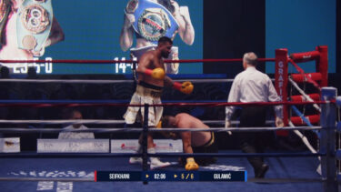 Slika od Prvak Švedske očitao lekciju boksaču iz BiH