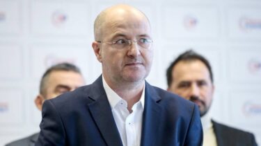 Slika od Radić: ‘Prvo ćemo pregovarati s SDP-om. Milanović? I s njim smo u kontaktu, ispao je žrtva’