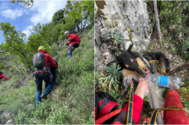 Slika od Riječki HGSS-ovci dva dana spašavali izgubljenog psa koji je pao u provaliju blizu Brseča
