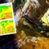 Slika od Saharski pijesak stiže već noćas nad Hrvatsku! DHMZ je objavio satelitske slike: ‘Pazite na UV…’