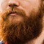 Slika od Studija potvrdila: muškarci s bradom su privlačniji