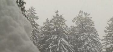 Slika od Svibanj pred vratima, a u Delnicama osjećaj Božića: Snijeg napadao 15 centimetara