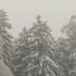 Slika od Svibanj pred vratima, a u Delnicama osjećaj Božića: Snijeg napadao 15 centimetara
