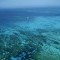 Slika od Transformacija Velikog koraljnog grebena