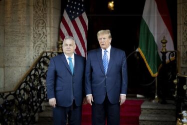Slika od Trump spreman obnoviti konzervativni savez s Orbanom