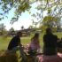 Slika od U baranjskog vinskoj prijestolnici održan prvi vinski piknik: Ondje se dobro i jede i pije
